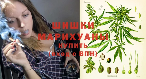 шишки Беломорск