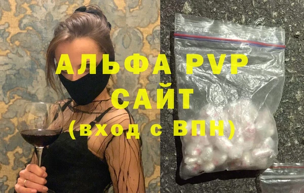 шишки Беломорск