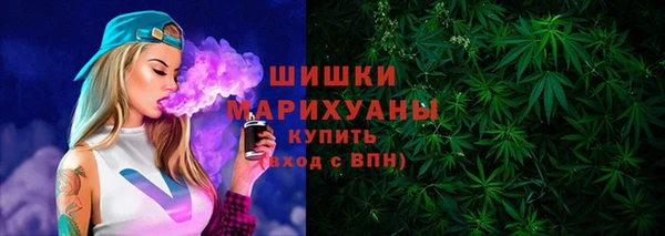 твердый Богданович
