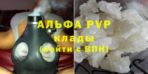 твердый Богданович