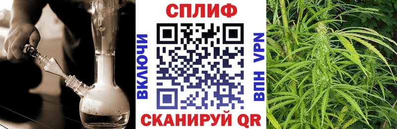 Купить где  Медногорск  Бошки марихуана план 